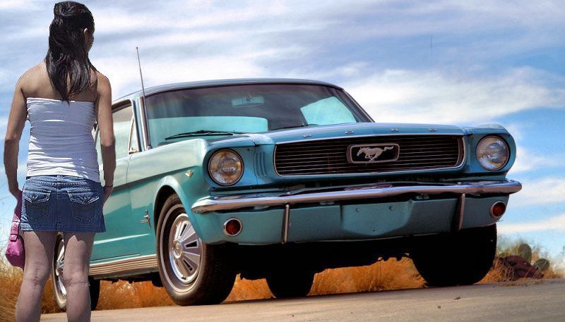 Mustang Sally Mustang Sally Jolie mustang aux belles courbes