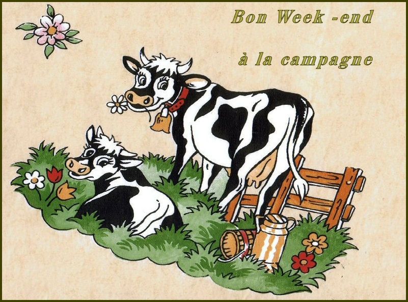 C'est Mardi C'est Bientot Le Week End C'est le week end